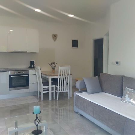 Apartment Ivana Novigrad Istria 外观 照片