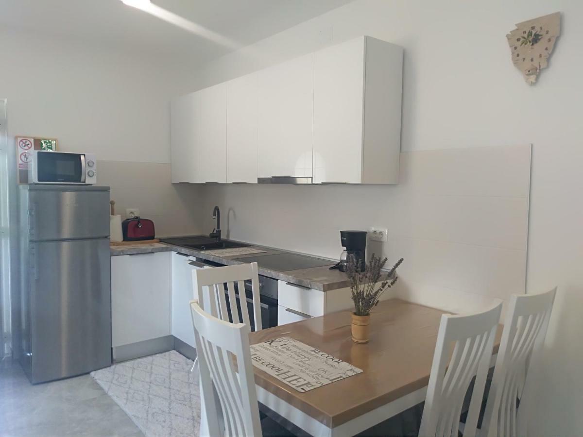Apartment Ivana Novigrad Istria 外观 照片
