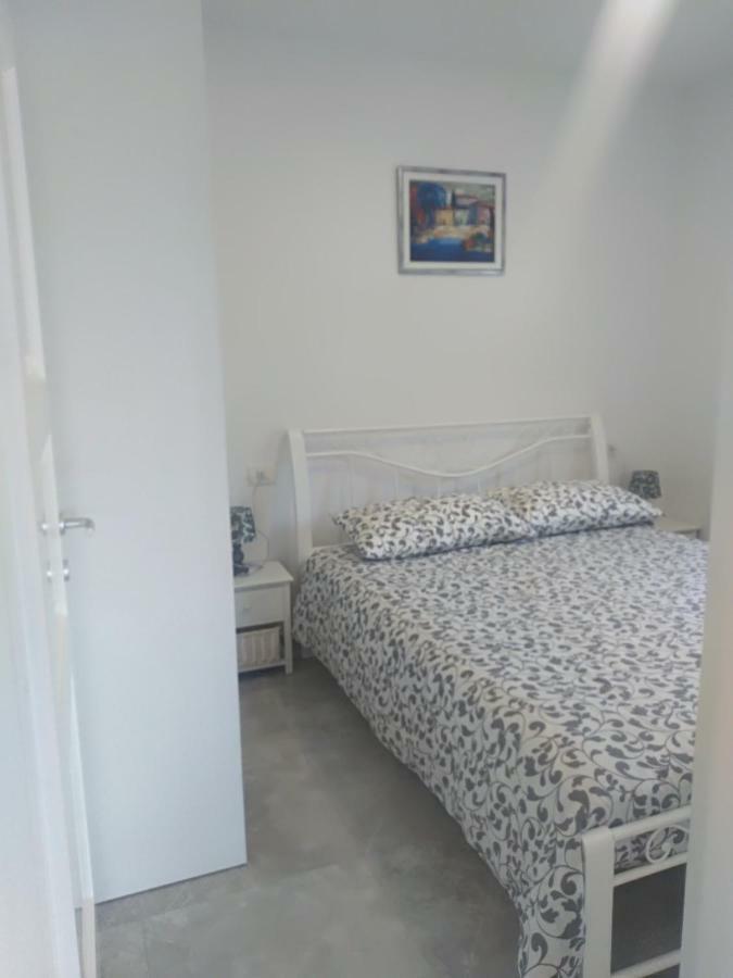 Apartment Ivana Novigrad Istria 外观 照片
