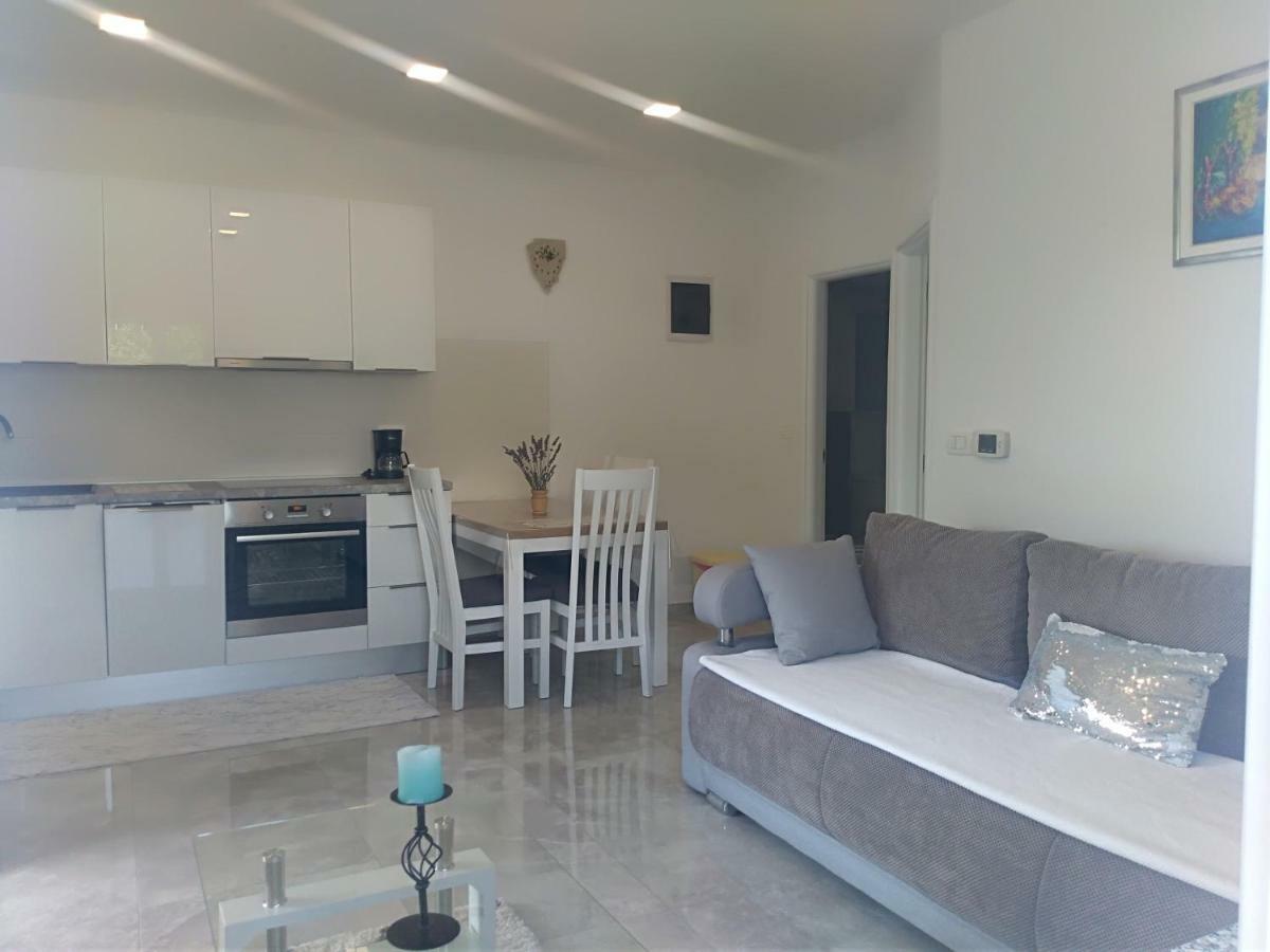 Apartment Ivana Novigrad Istria 外观 照片