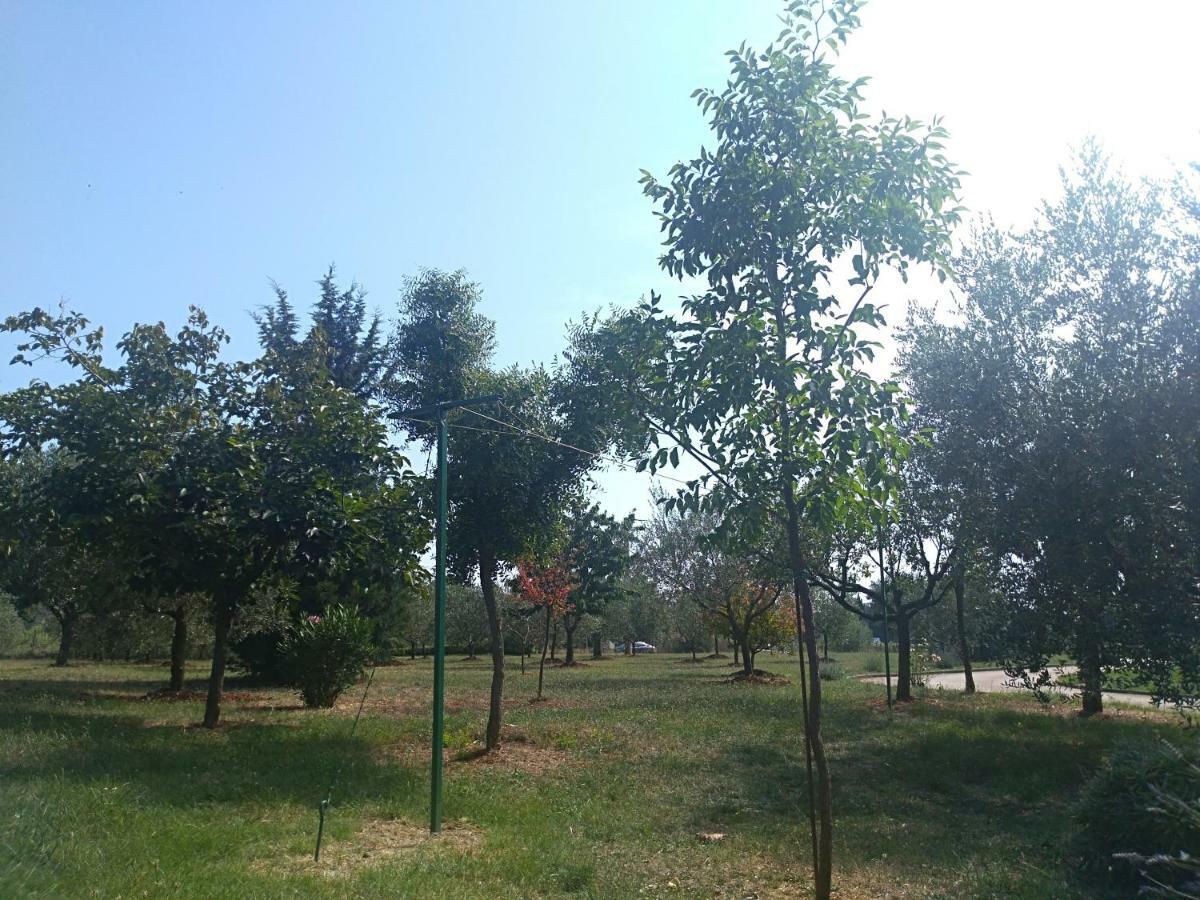Apartment Ivana Novigrad Istria 外观 照片